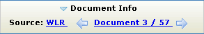 The Document Info panel
