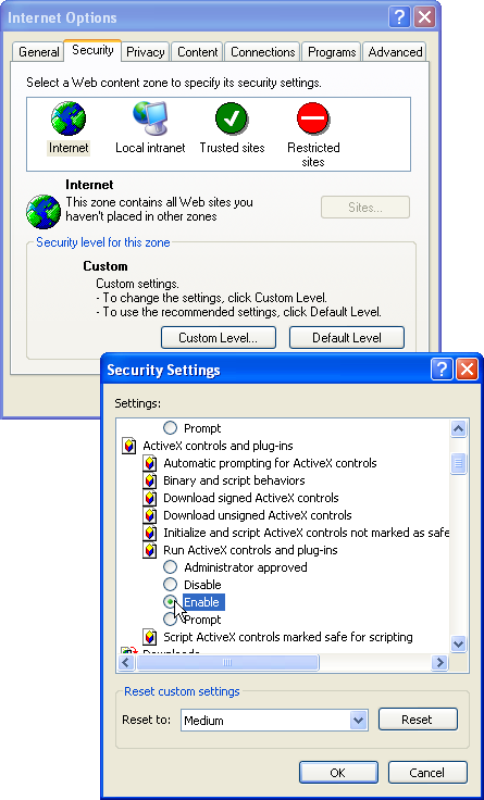 Enabling ActiveX controls in Internet Explorer 6